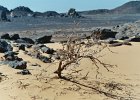 Tassili N'Ajjer. Algérie. Octobre 2002.