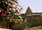 Baharaya. Egypte. Octobre 2004.