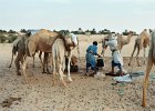 Tanouchert. Mauritanie. Octobre 2003.