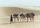 Mauritanie. Octobre 2003.