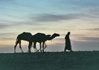 Mauritanie. Octobre 2003.