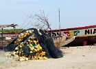 Senegal