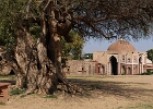 Qûtb Minâr, Delhi 2026