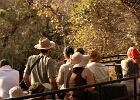 Parc national de Ranthambore, Touristes, Rajasthan 2026