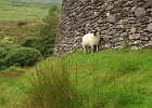 Staigue Stone Fort