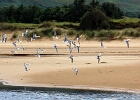Donegal